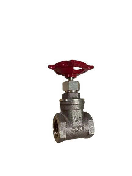 Bronze gate valve 1 inch